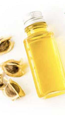 moringa oil